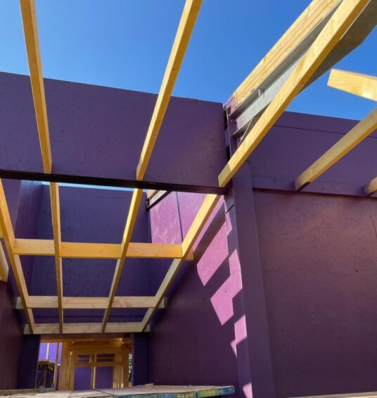 Passive Purple